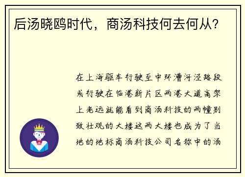 后汤晓鸥时代，商汤科技何去何从？