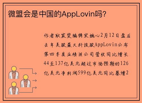微盟会是中国的AppLovin吗？