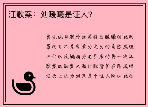 江歌案：刘暖曦是证人？